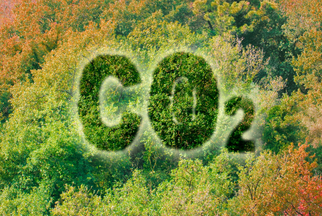 CO2 neutraal